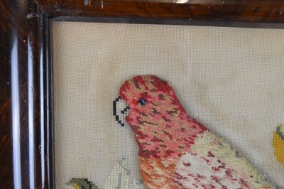 Lot 182 - Victorian woolwork textile study of a parrot