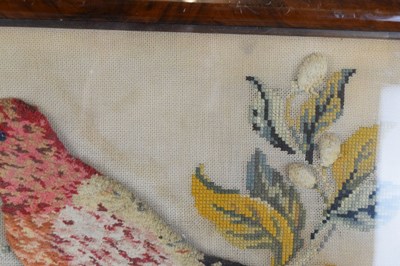 Lot 182 - Victorian woolwork textile study of a parrot