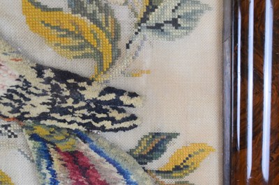 Lot 182 - Victorian woolwork textile study of a parrot