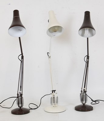 Lot 233 - Three retro Anglepoise lamps