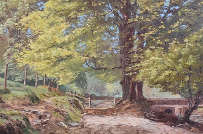 Lot 425 - Nancy Bailey (Cornish, 1913 - 2012) - Oil on canvas - 'Beeches, Barle Valley'