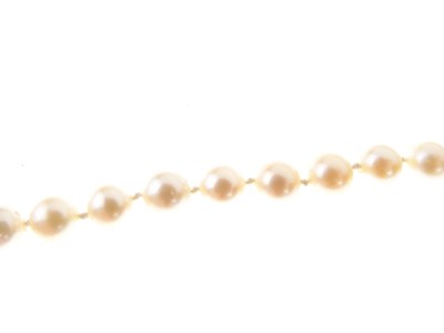 Lot 36 - Uniform row of cultured pearls