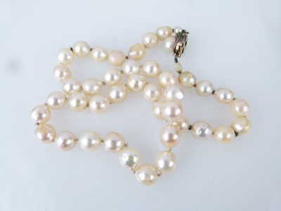 Lot 38 - Uniform row of cultured pearls
