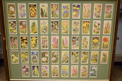 Lot 255 - Five sets of framed cigarette cards