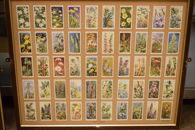 Lot 255 - Five sets of framed cigarette cards