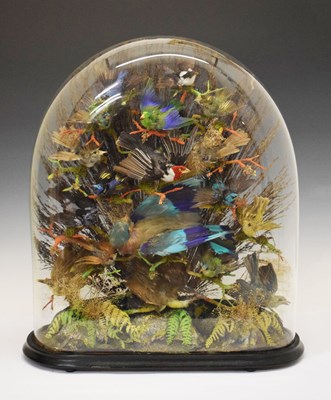 Lot 190 - Late 19th or early 20th Century ornithological diorama