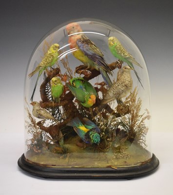 Lot 191 - Taxidermy -  Late Victorian diorama of containing a display of tropical birds
