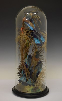 Lot 192 - Taxidermy - Late 19th or early 20th Century diorama of two Indian Rollers