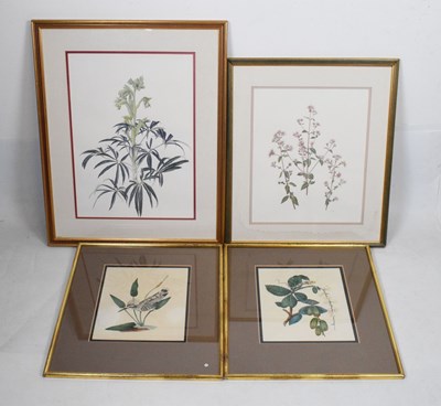 Lot 272 - Four botanical studies