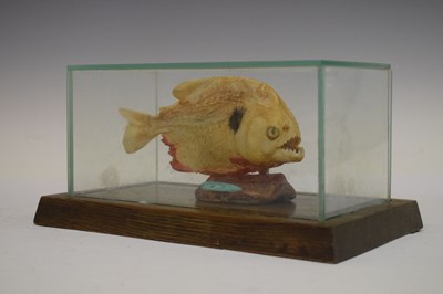 Lot 359 - Taxidermy - Preserved Piranha