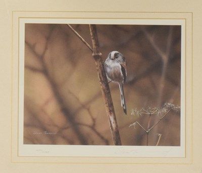 Lot 408 - Steven Townsend, (b. 1955) - Six assorted wild bird prints