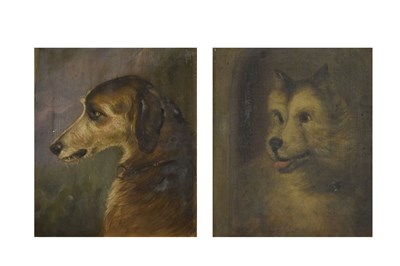 Lot 457 - W. Mitchell (late 19th Century) - Two oil studies, heads of dogs