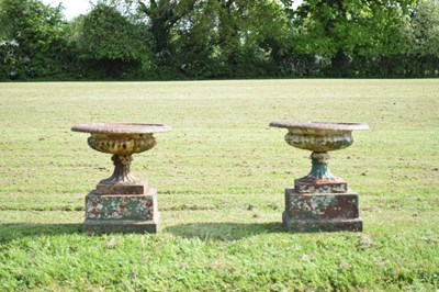 Lot 219 - Pair of cast iron pedestal urns
