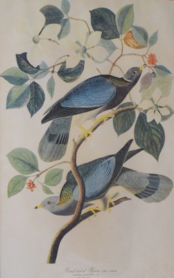 Lot 645 - Selection of bird prints