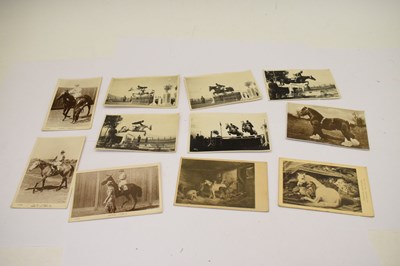 Lot 209 - Collection of early 20th Century postcards