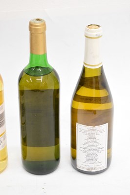 Lot 293 - Ten bottles of white table wine