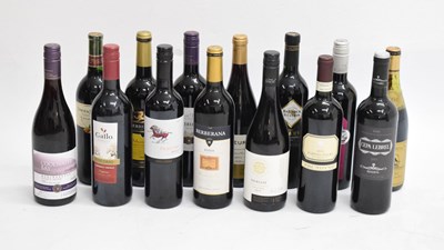 Lot 290 - Fourteen bottles of red table wine