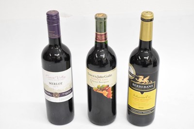 Lot 346 - Fourteen bottles of red table wine