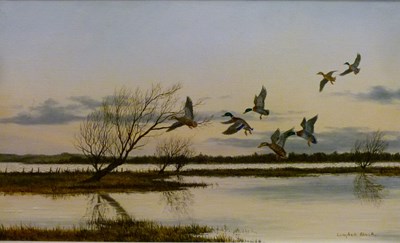 Lot 393 - Campbell Black - Oil on canvas – Ducks in flight 2