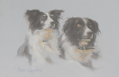 Lot 493 - Peter Layton, 20th Century - Three pastels of Collies and Spaniel