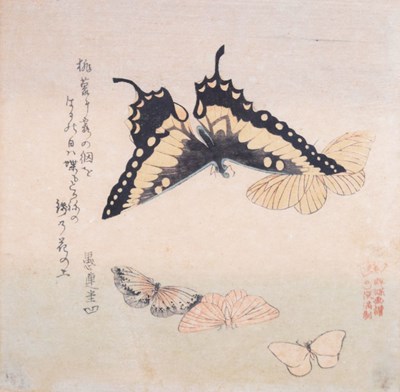 Lot 300 - After Kubo Shunman (Japanese, 1757–1820) - Moths and Butterflies