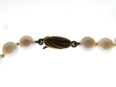 Lot 62 - Uniform row of cultured freshwater pearls