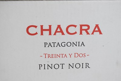 Lot 673 - Bodega Chacra Patagonia 'Treinta y Dos' Pinot Noir, 2017, Patagonia