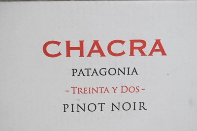 Lot 673 - Bodega Chacra Patagonia 'Treinta y Dos' Pinot Noir, 2017, Patagonia