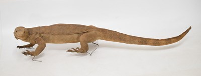 Lot 248 - Taxidermy Monitor lizard