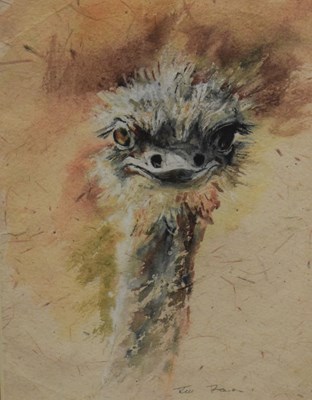 Lot 451 - Watercolour of an ostrich and pencil sketch of a warthog