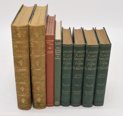 Lot 307 - Cole, Rex Vicat, 'British Trees', two vols., etc