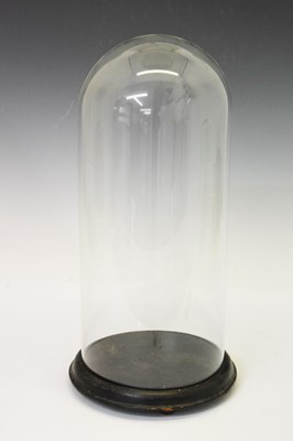 Lot 183 - Glass dome