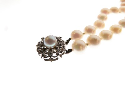 Lot 43 - Two-row uniform cultured pearl necklace