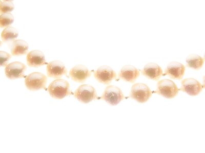 Lot 43 - Two-row uniform cultured pearl necklace