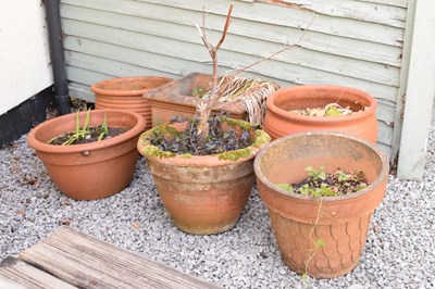 Lot 626 - Six terracotta garden pots or planters