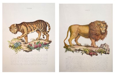 Lot 454 - Various prints and pictures Tigers Lions etc