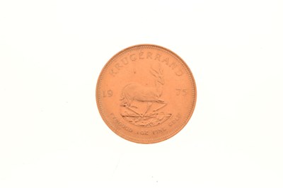 Lot 161 - South African gold Krugerrand, 1975