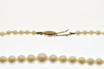 Lot 73 - Yellow metal (585) pearl necklace