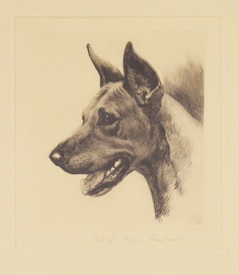 Lot 468 - Kurt Meyer-Eberhardt - Study of a Great Dane