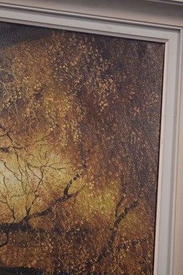 Lot 490 - Harry Sanders - Oil on canvas - Woodland Path