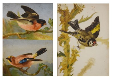 Lot 521 - Group of bird pictures c.1900