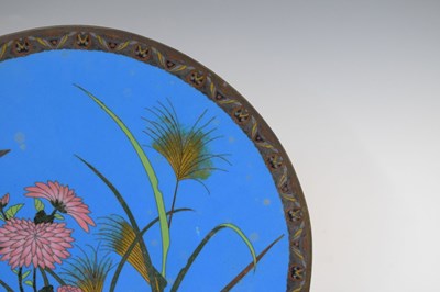 Lot 446 - Japanese cloisonné dish