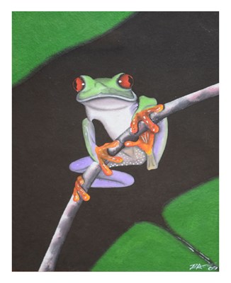 Lot 497 - Watercolour on textured paper study of a tree frog