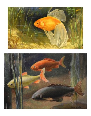 Lot 512 - Arthur W. Gay (1901-1958) - Watercolour - Three fish underwater