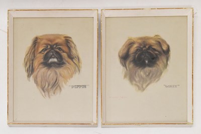 Lot 494 - Pair of pastel studies of Pekinese