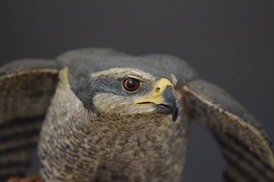 Lot 180 - Large Wildlife Art Ltd. resin model of a bird of prey