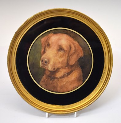 Lot 554 - Florence Jay, (fl. 1905-1920) - Watercolour - Study of a Golden Labrador dog