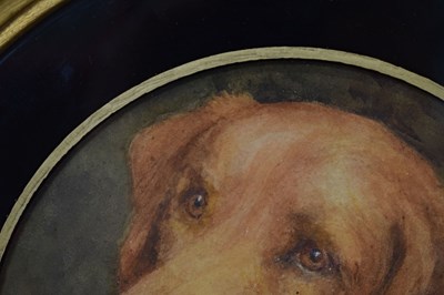 Lot 554 - Florence Jay, (fl. 1905-1920) - Watercolour - Study of a Golden Labrador dog
