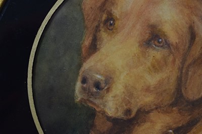 Lot 554 - Florence Jay, (fl. 1905-1920) - Watercolour - Study of a Golden Labrador dog