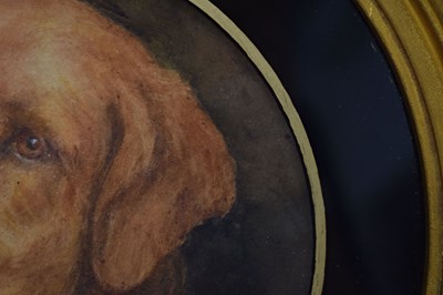 Lot 554 - Florence Jay, (fl. 1905-1920) - Watercolour - Study of a Golden Labrador dog